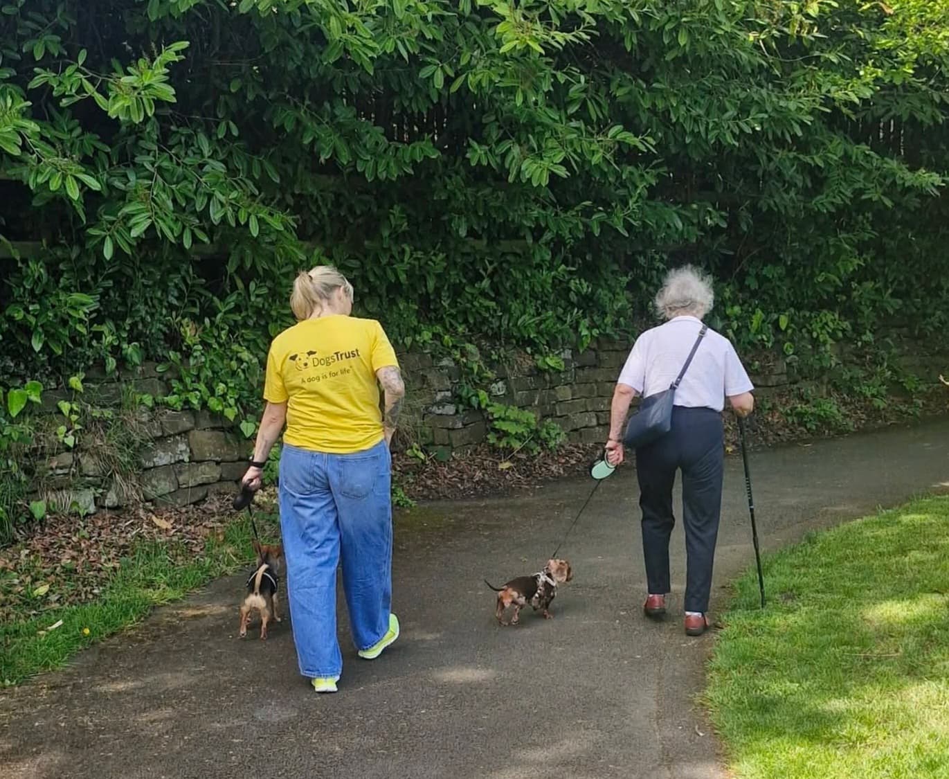 Greenacres Care Home Launches Canine Trekking Challenge to Benefit Dogs Trust in 2026