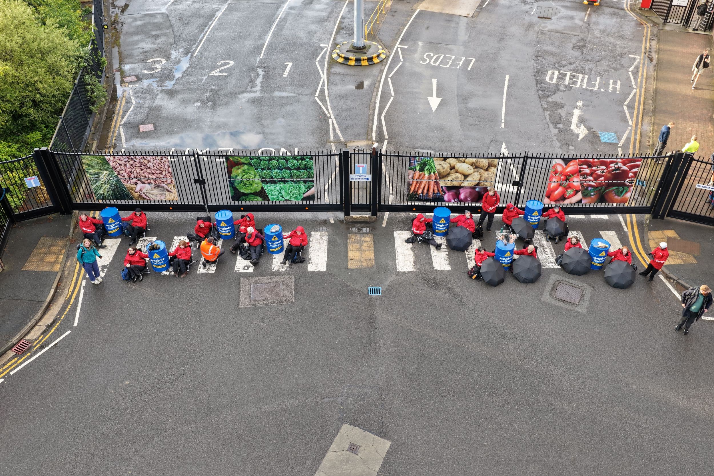 Greenpeace Protests Outside Syngenta's Huddersfield HQ on World Bee Day