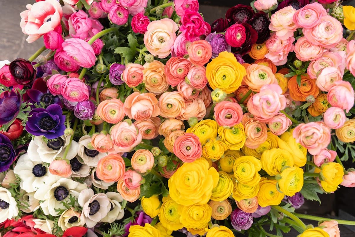 Meydan Flowers - Florists in darnall