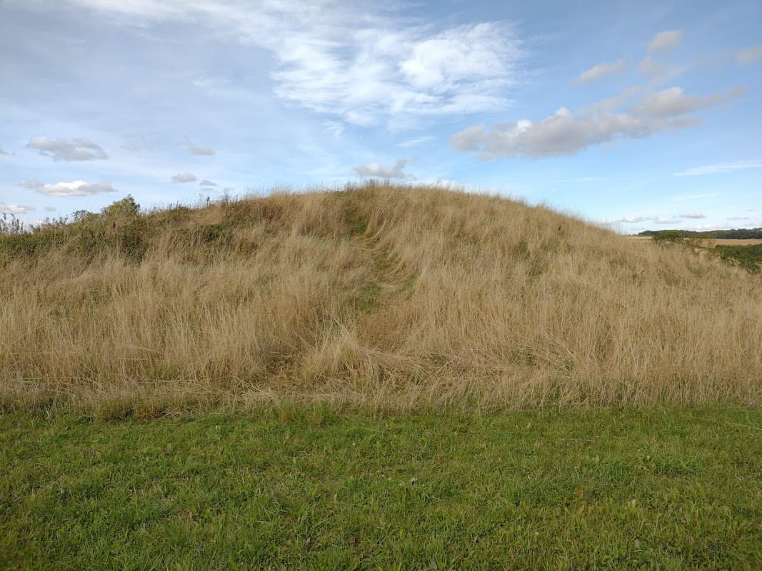 A grassy mound surrounded by tall grass under a blue sky with scattered clouds in Duggleby, Yorkshire.