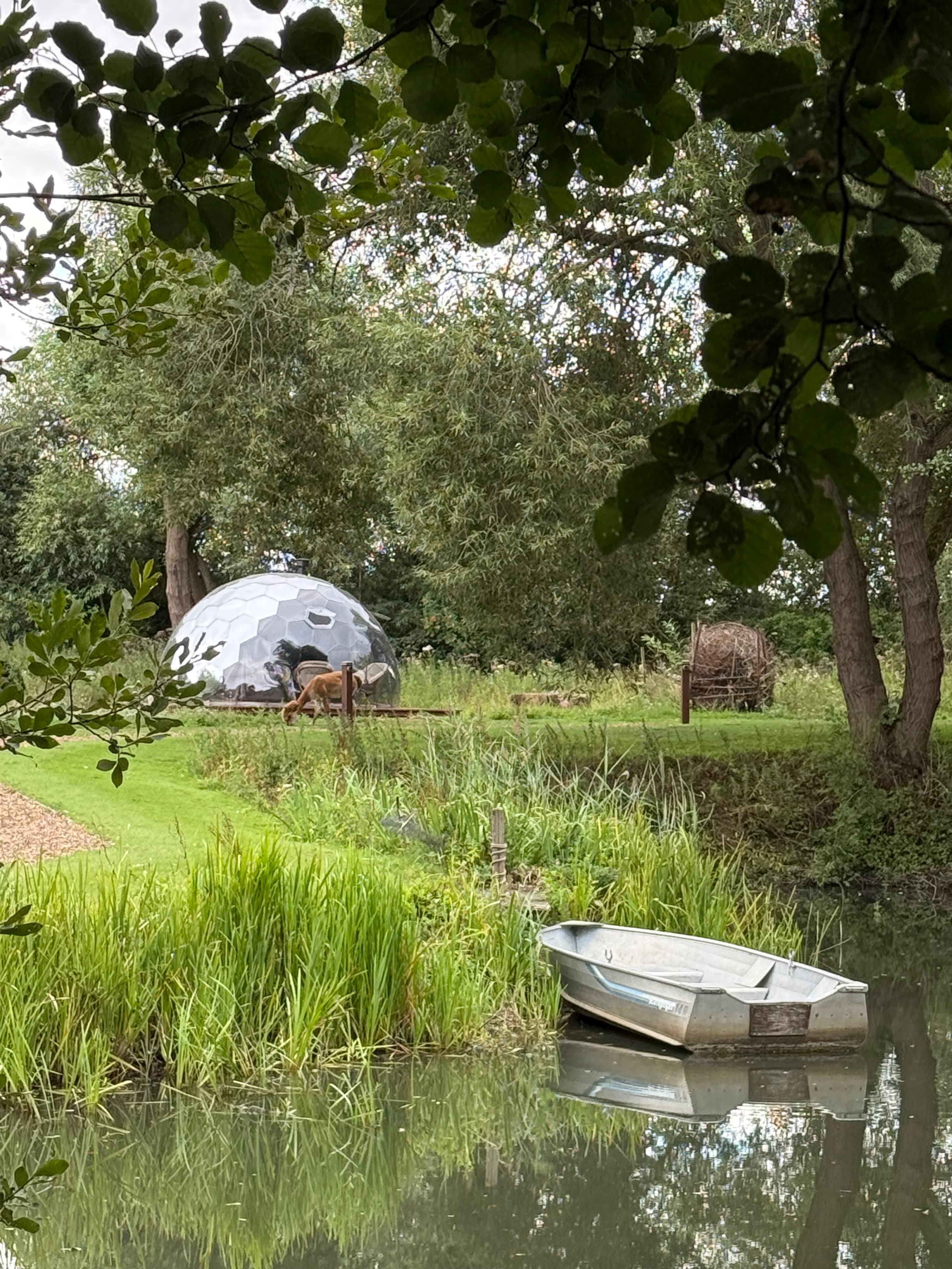 Acorn Glade Glamping York - Campsite in york