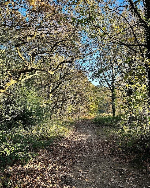 Ecclesall Woods - Park in nether edge