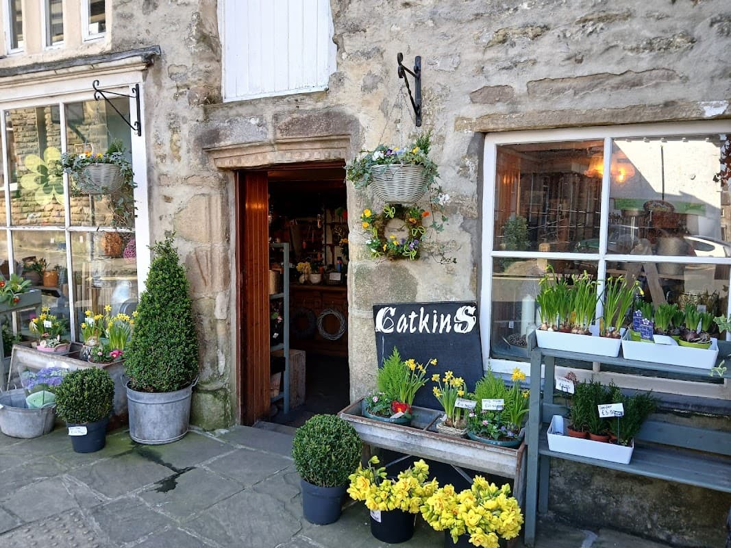 Catkins - Florists in settle