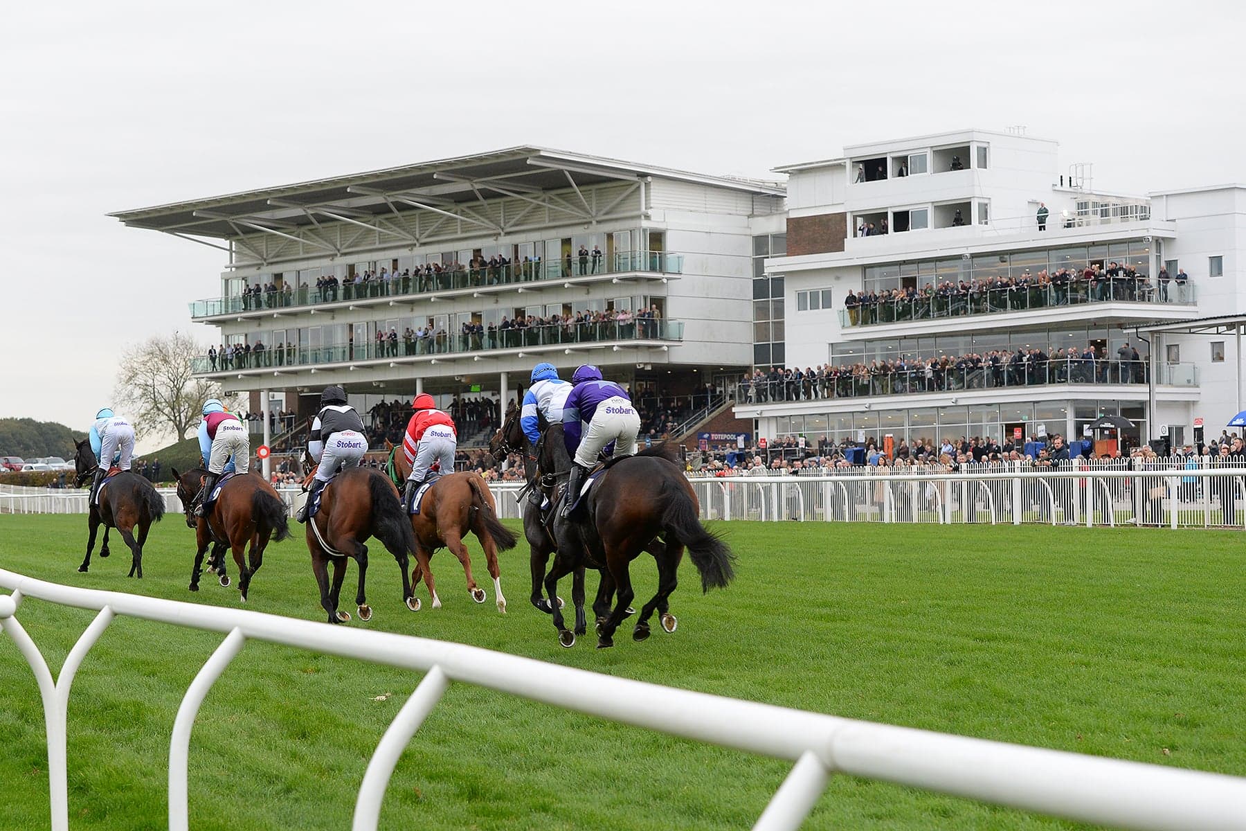 Jockeys race horses on a green track at Wetherby Racecourse, Yorkshire, with spectators in a modern grandstand.