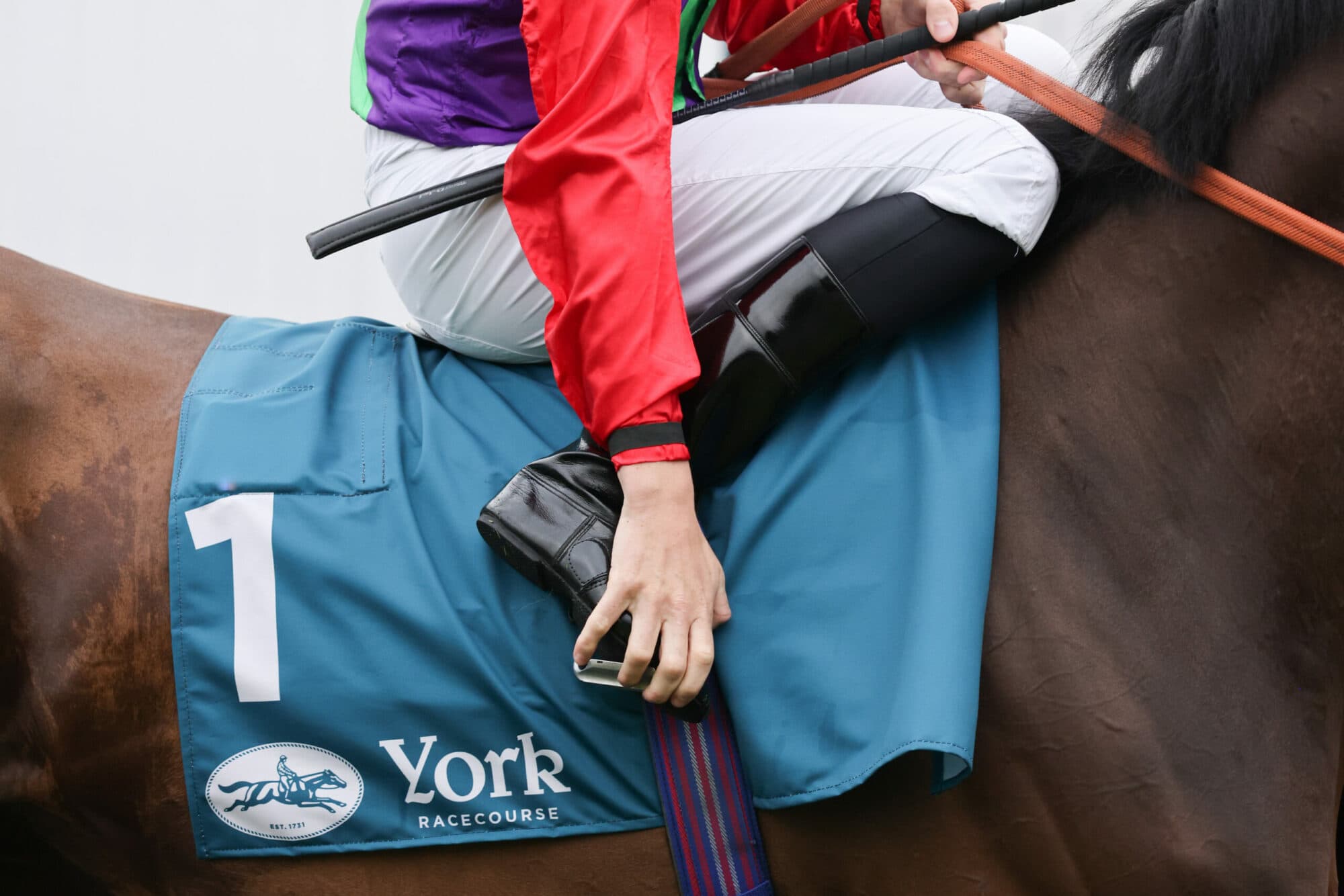 York Racecourse Image 2