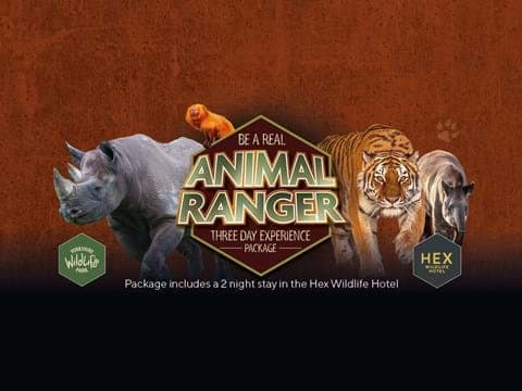 Visit Yorkshire Wildlife Park In Doncaster Image 3