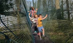 Visit The Treetop Nets - Ripon Image 2