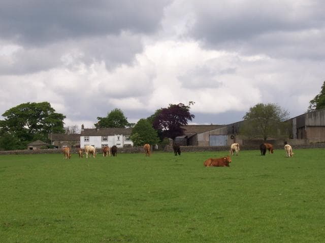 Halton East