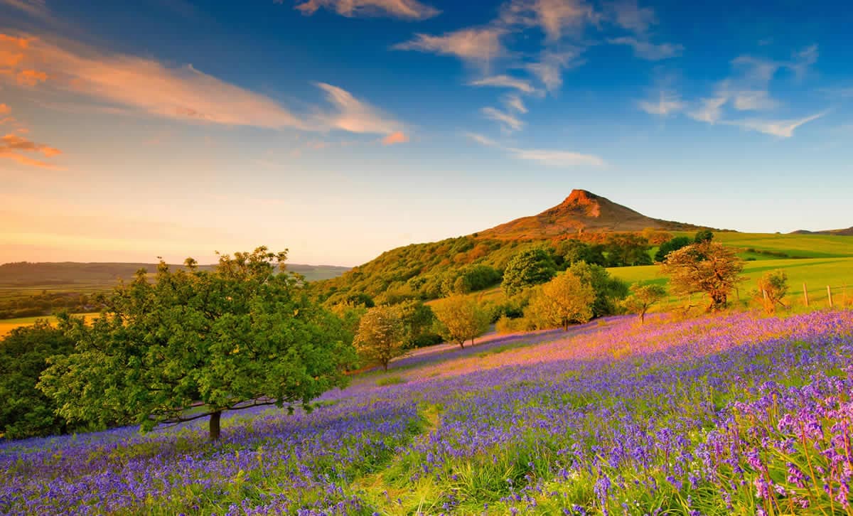 North Yorkshire