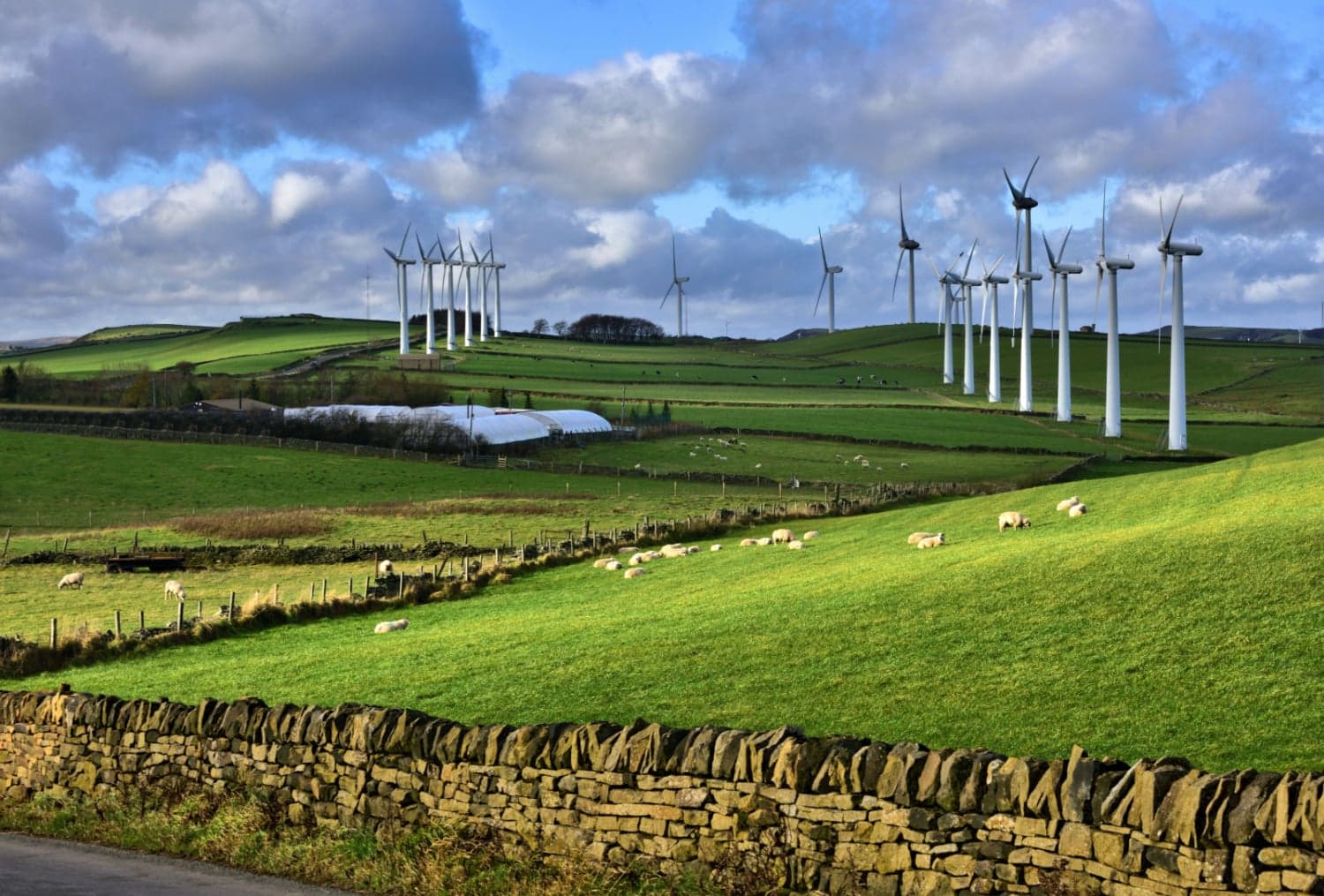 Walk: Scout Dike, Royd Moor and Ingbirchworth Reservoirs