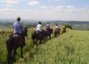 Boltby Trekking & Trail Riding Centre - Sports & Leisure in boltby