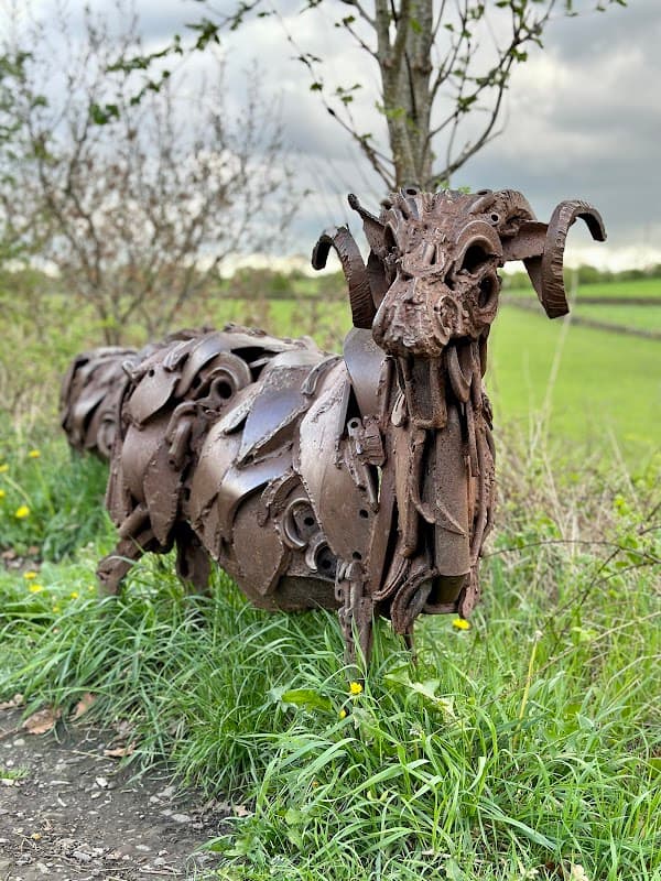 Metallic Sheep - Gallery in cleckheaton