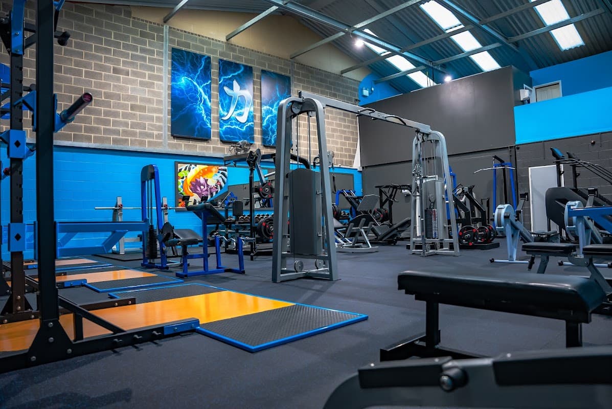 Modern gym interior with various workout equipment, blue and gray walls, and vibrant artwork.