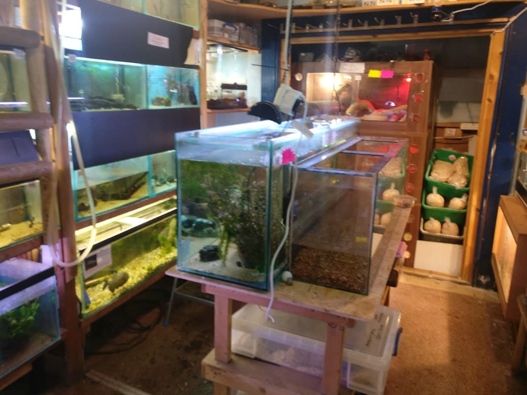 Heather's Place4Pets - Pet Shops in middlesbrough