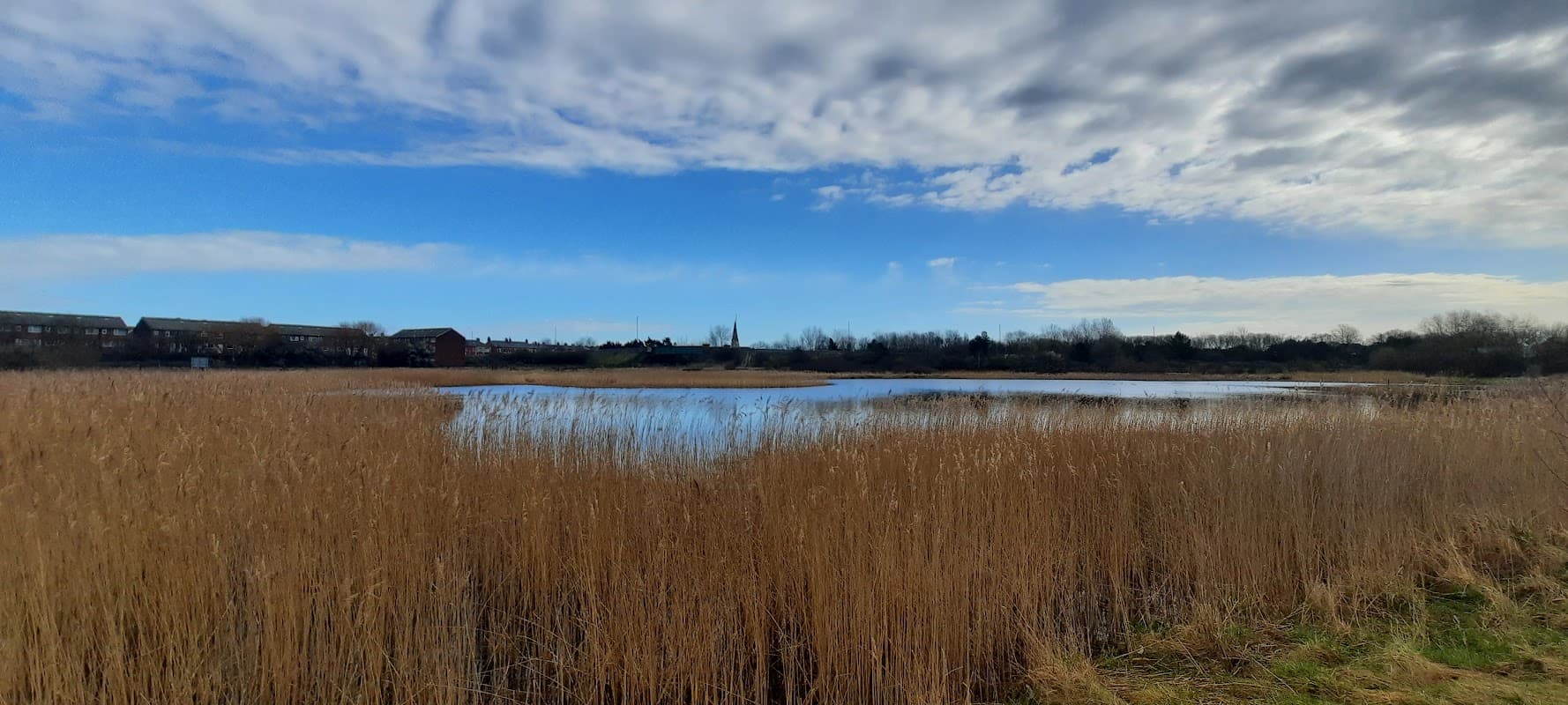 Coatham Marsh - Nature Reserves in redcar