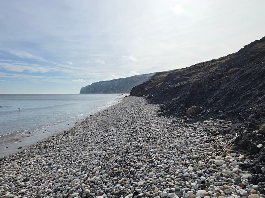 Speeton Beach - Attraction in speeton