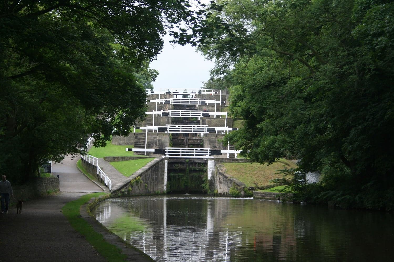 Bingley
